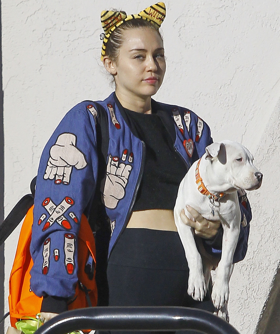 FFN_DMAC_CYRUS_M_EXC_11102015_51904609