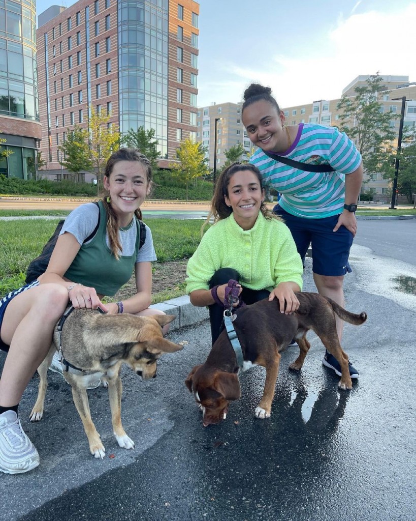 aly-raisman’s-dog-mylo-found-by-good-samaritans-a-week-after-he-went-missing