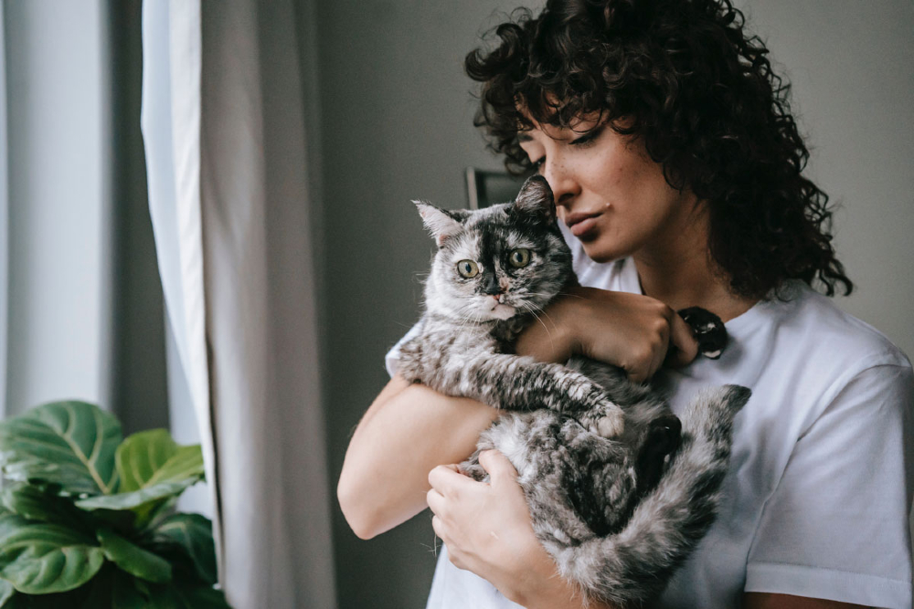 experts-say-people-with-covid-should-limit-their-contact-with-pets