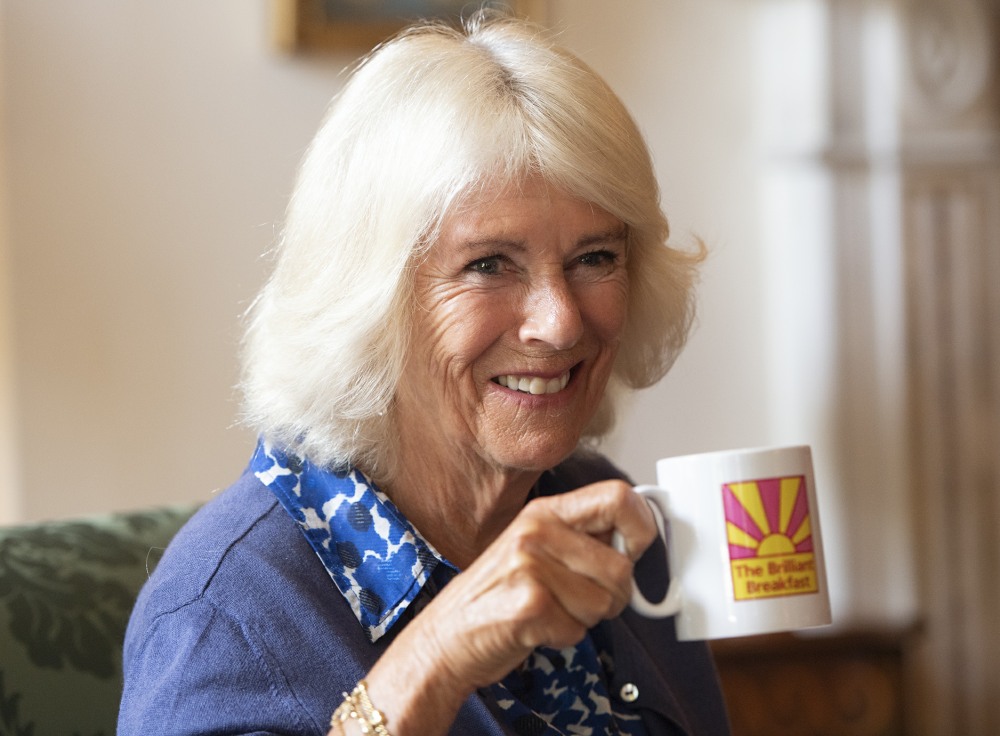 duchess-camilla-named-the-patron-of-a-nigerian-charity-working-on-assault,-abuse