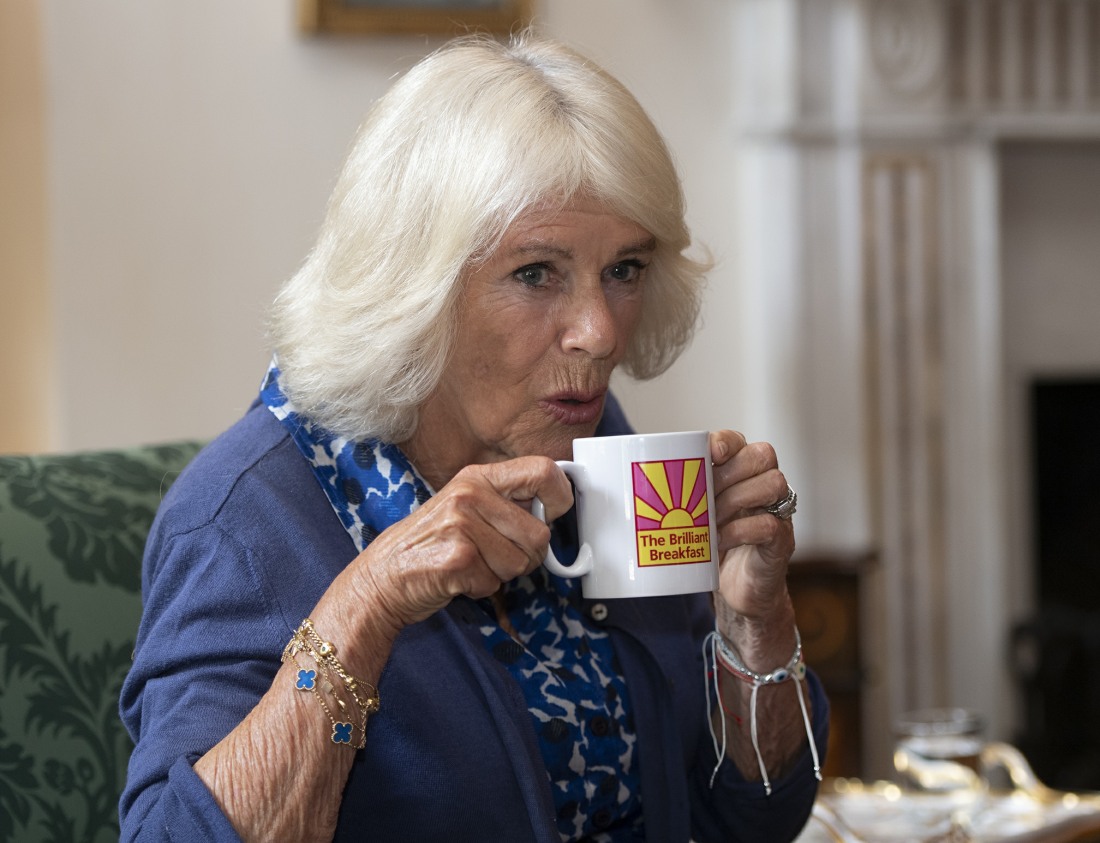 duchess-camilla-made-her-move-to-cut-out-one-of-prince-charles’-key-aides