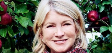 dolly-parton:-‘i’m-a-workhorse-dressed-up-as-a-show-horse’