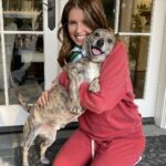 katherine-schwarzenegger:-it’s-not-true-‘that-rescue-animals-are-damaged’