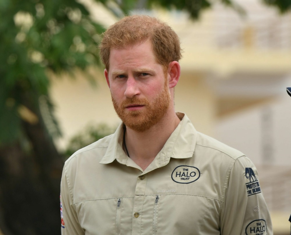 prince-harry-lowkey-traveled-to-vilankulos,-mozambique-this-week?