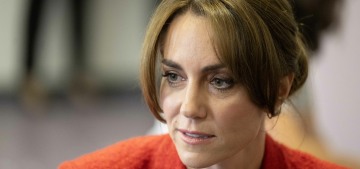 xl-bully-dog-owners-in-england-take-their-dogs-to-muzzle-training-classes