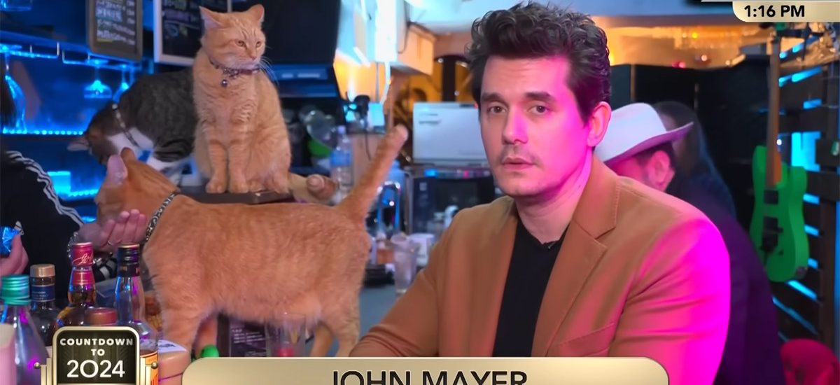 andy-cohen:-it-was-john-mayer’s-idea-to-phone-in-for-new-year’s-from-the-cat-cafe