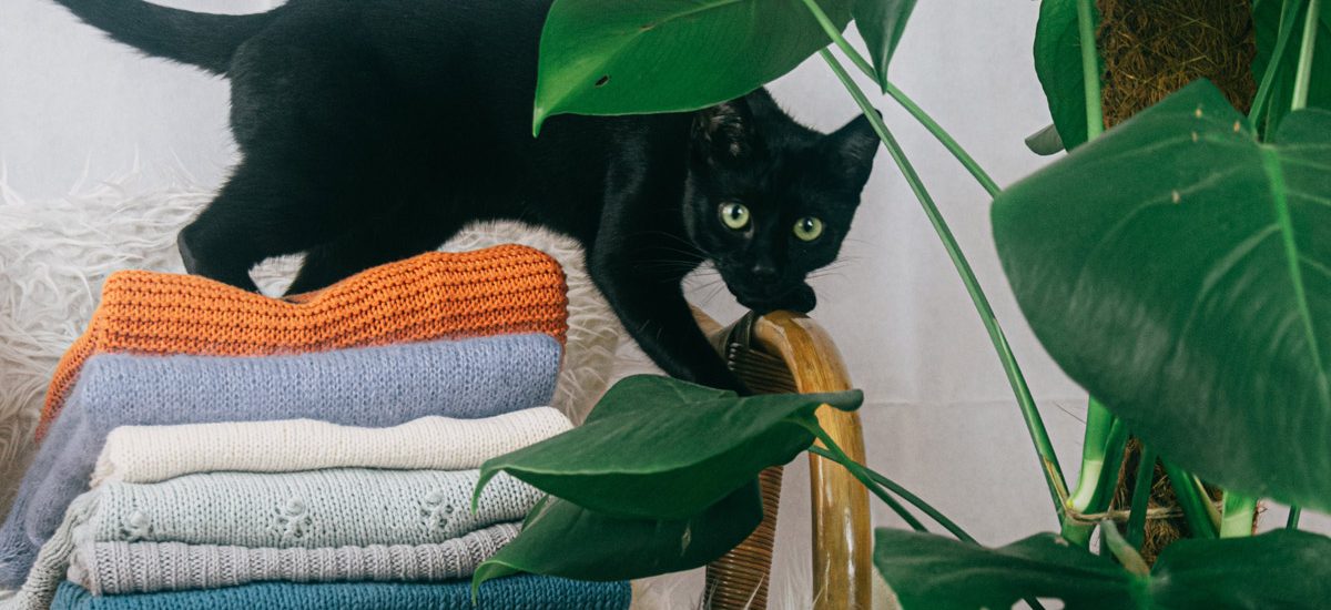 don’t-stress-about-your-clothes-chair,-it-means-you-have-a-system