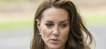 the-2024-puppy-bowl-winner-is-team-ruff,-did-they-play-fair?