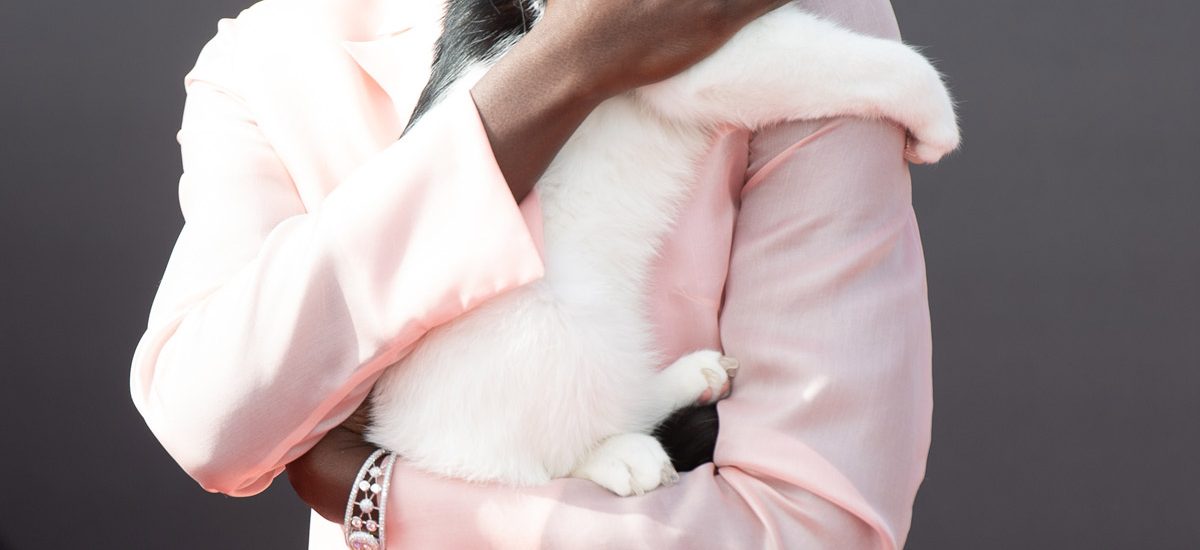 lupita-nyong’o:-i’m-looking-for-a-rom-com,-if-i-need-to-audition,-i’ll-do-it