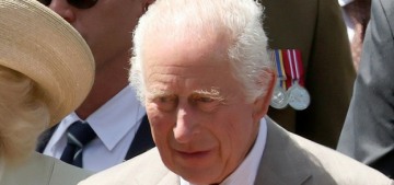 kaley-cuoco-admits-her-dogs-are-spoiled:-‘it’s-basically-their-house’