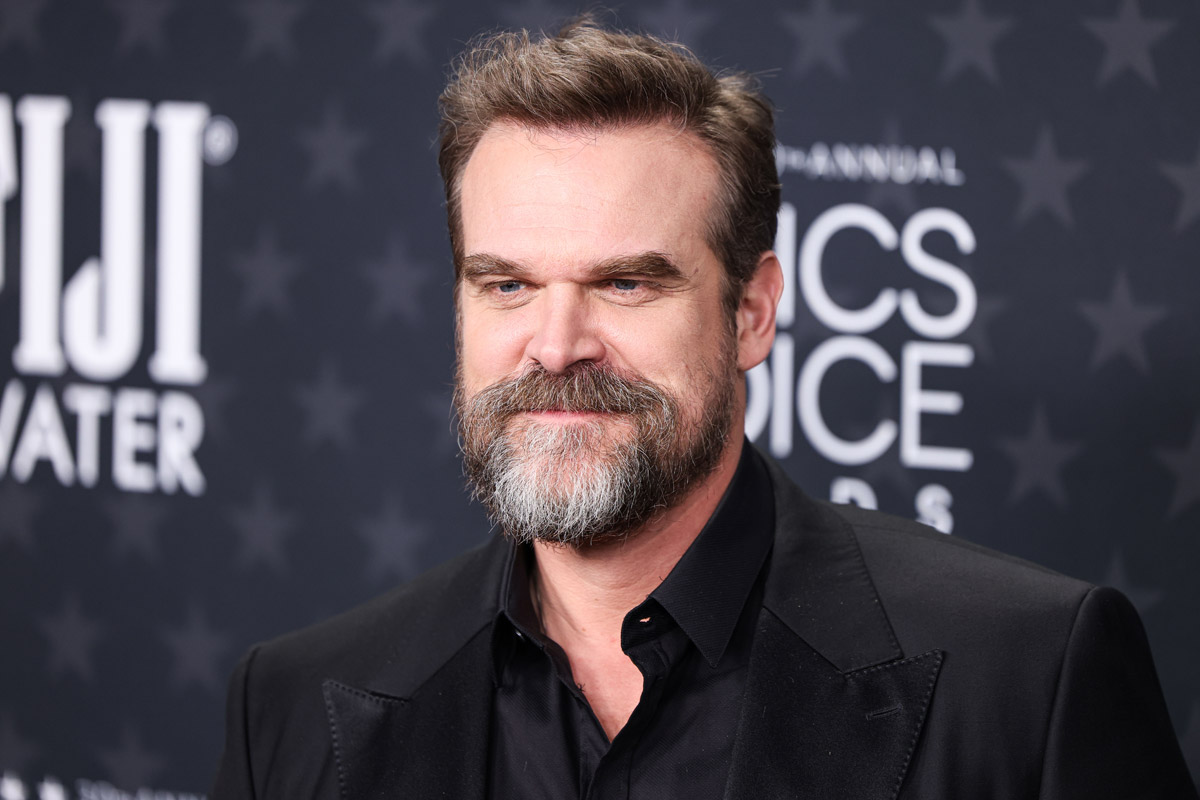 david-harbour-is-dating-a-27-year-old-model-after-his-split-from-lily-allen