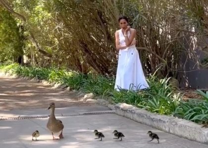 duchess-meghan-posted-an-easter-instagram-with-some-very-cute-ducklings