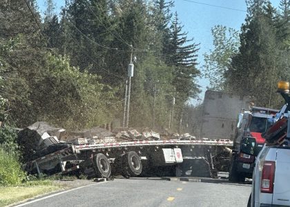 14-million-bees-escaped-an-overturned-truck-in-washington-state