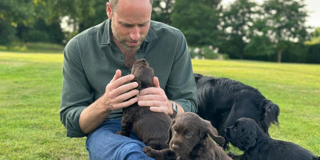 prince-william-spent-his-43rd-birthday-privately,-‘recalibrating’-with-kate