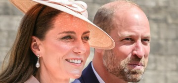 auckland-based-cat-‘leonardo-da-pinchy’-regularly-steals-his-neighbors’-clothing