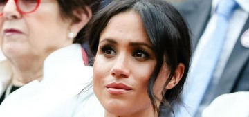 tori-spelling-claims-her-dog-once-found-a-severed-toe-in-a-toronto-hotel