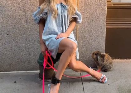 domestic-rabbits-rescued-from-nyc-park-after-being-dumped-by-anna-delvey’s-hairstylist